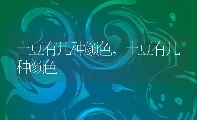 向日葵什么时候种植最好,向日葵种植方法和步骤？ | 养殖科普