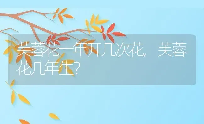芙蓉花一年开几次花,芙蓉花几年生？ | 养殖学堂