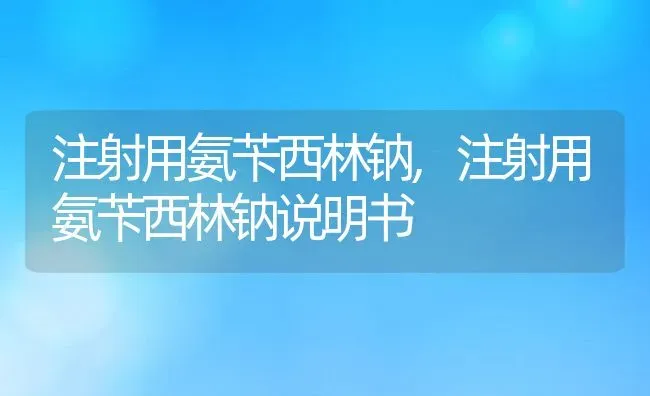 注射用氨苄西林钠,注射用氨苄西林钠说明书 | 养殖科普