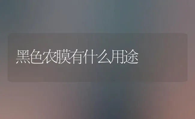 黑色农膜有什么用途 | 养殖知识