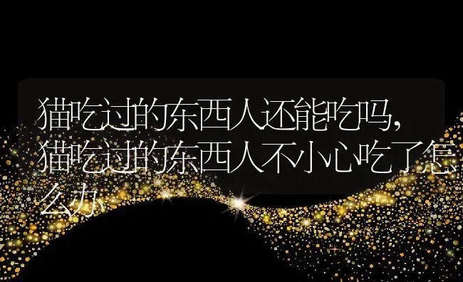 猫吃过的东西人还能吃吗,猫吃过的东西人不小心吃了怎么办 | 养殖资料