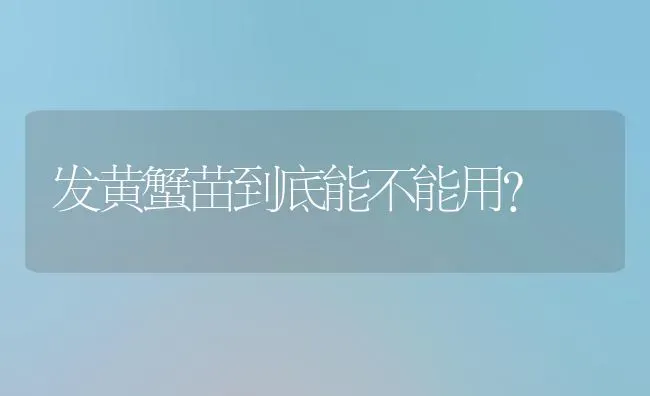 发黄蟹苗到底能不能用? | 养殖技术大全