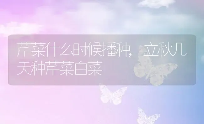 芹菜什么时候播种,立秋几天种芹菜白菜 | 养殖学堂