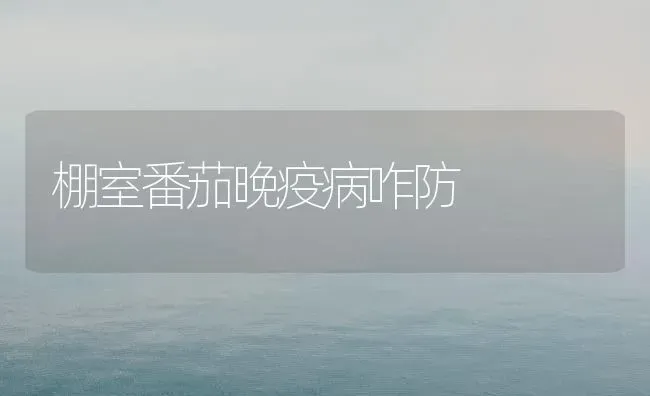 棚室番茄晚疫病咋防 | 养殖知识