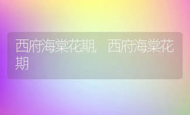 西府海棠花期,西府海棠花期 | 养殖科普