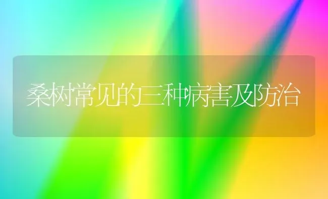 桑树常见的三种病害及防治 | 养殖知识