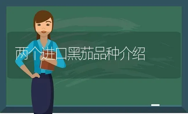两个进口黑茄品种介绍 | 养殖技术大全