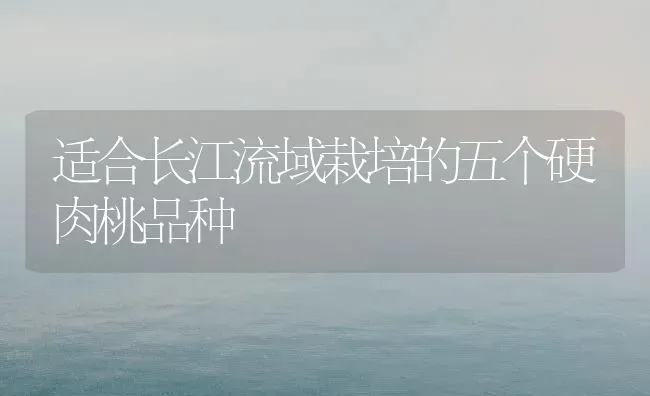 适合长江流域栽培的五个硬肉桃品种 | 养殖技术大全