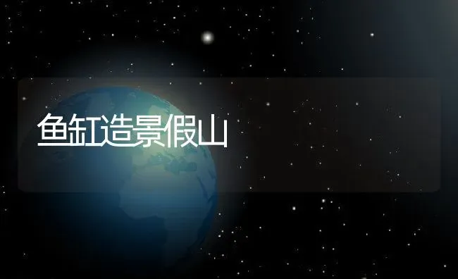 鱼缸造景假山 | 养殖科普