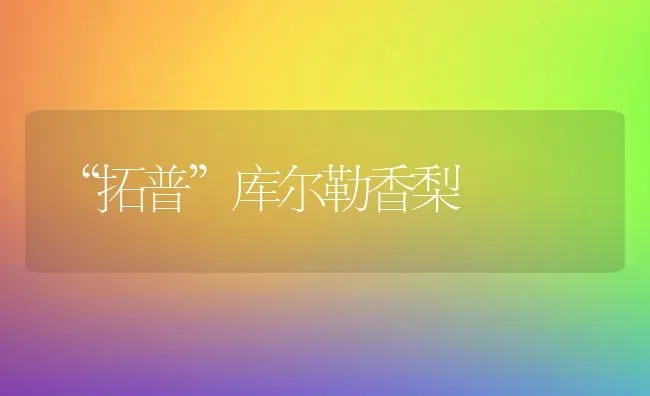 “拓普”库尔勒香梨 | 养殖知识