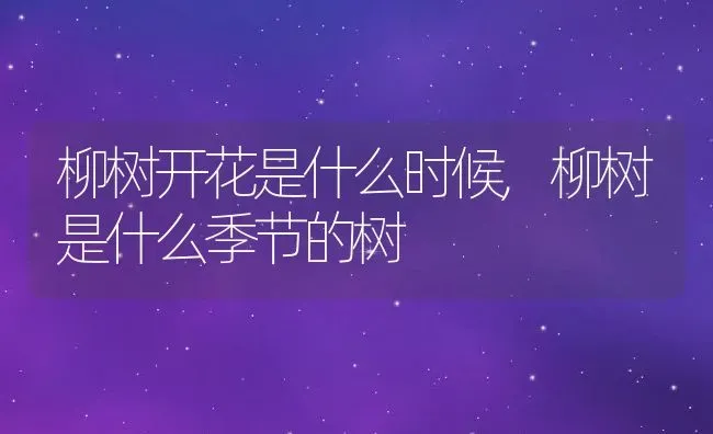 柳树开花是什么时候,柳树是什么季节的树 | 养殖学堂