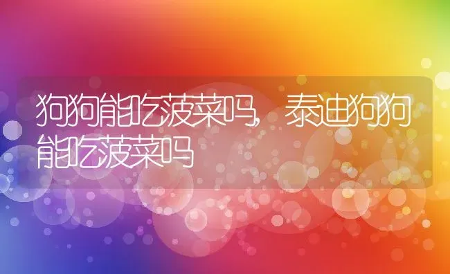 狗狗能吃菠菜吗,泰迪狗狗能吃菠菜吗 | 养殖资料