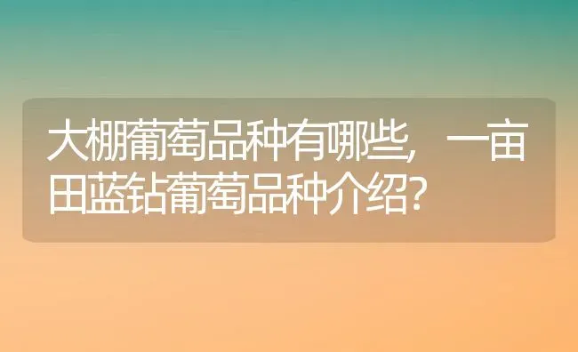 大棚葡萄品种有哪些,一亩田蓝钻葡萄品种介绍？ | 养殖科普