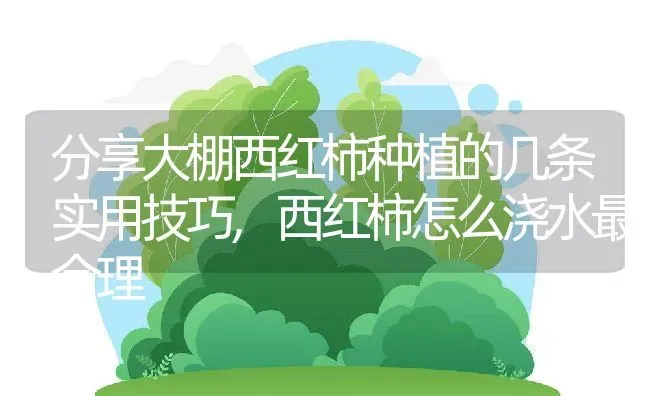 分享大棚西红柿种植的几条实用技巧,西红柿怎么浇水最合理 | 养殖学堂