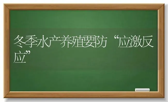 冬季水产养殖要防“应激反应” | 养殖技术大全