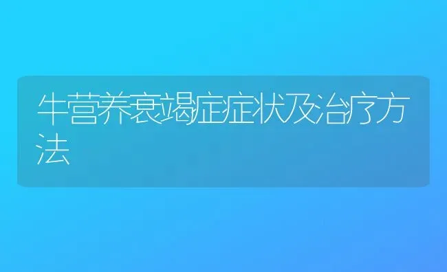 牛营养衰竭症症状及治疗方法 | 养殖技术大全