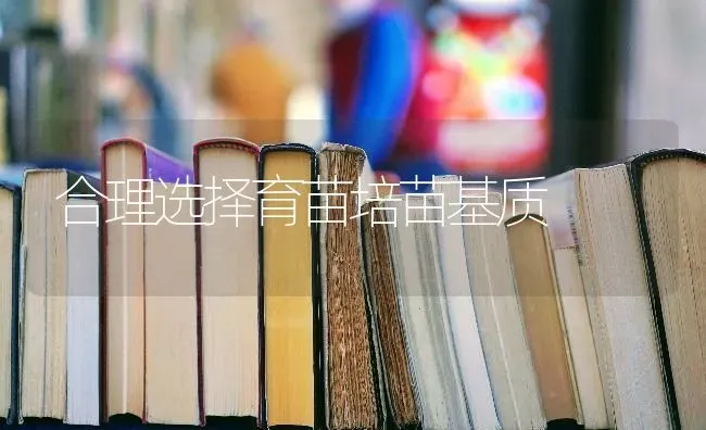 合理选择育苗培苗基质 | 养殖知识
