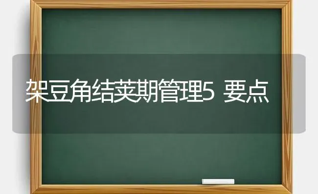 架豆角结荚期管理5要点 | 养殖知识