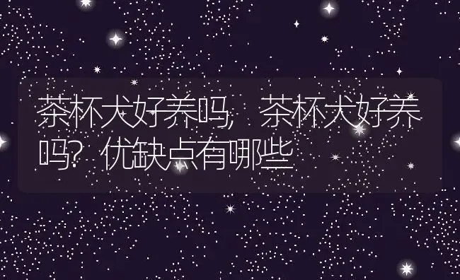 茶杯犬好养吗,茶杯犬好养吗?优缺点有哪些 | 养殖资料