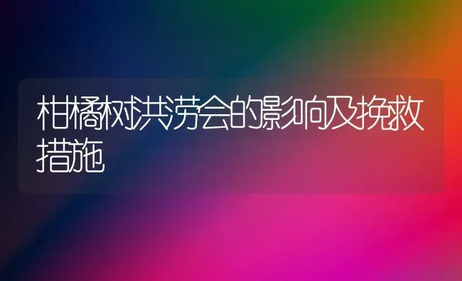 柑橘树洪涝会的影响及挽救措施 | 养殖技术大全