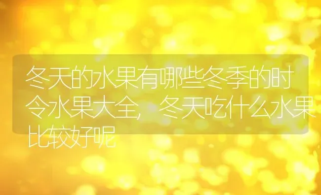 冬天的水果有哪些冬季的时令水果大全,冬天吃什么水果比较好呢 | 养殖学堂