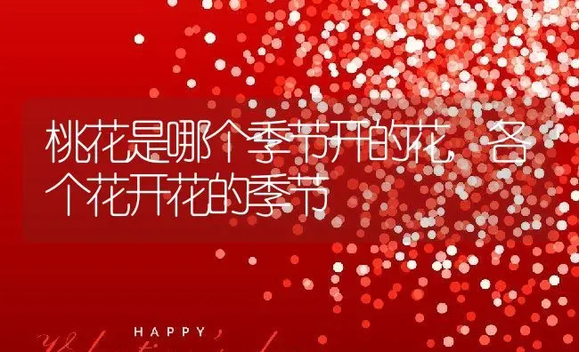 桃花是哪个季节开的花,各个花开花的季节 | 养殖学堂