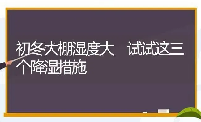 初冬大棚湿度大 试试这三个降湿措施 | 养殖技术大全