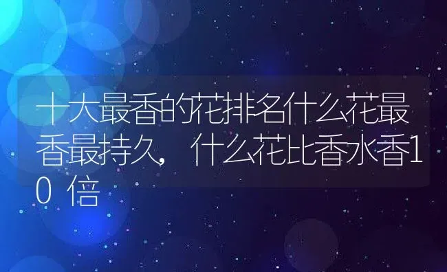 十大最香的花排名什么花最香最持久,什么花比香水香10倍 | 养殖学堂