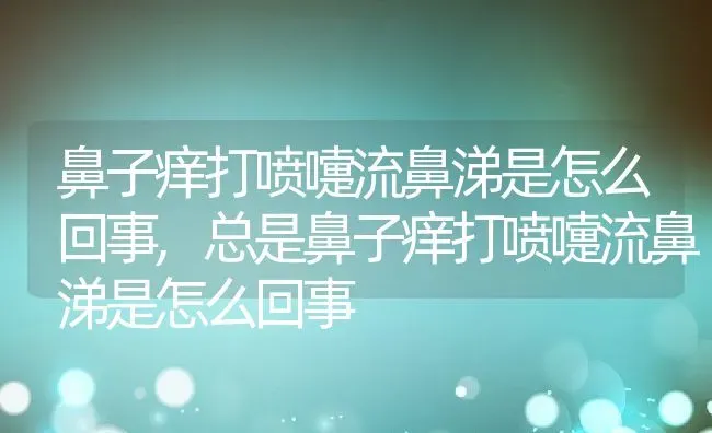 鼻子痒打喷嚏流鼻涕是怎么回事,总是鼻子痒打喷嚏流鼻涕是怎么回事 | 养殖科普