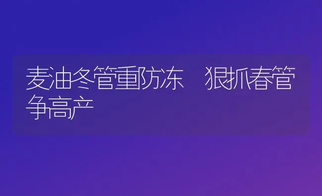 麦油冬管重防冻 狠抓春管争高产 | 养殖知识