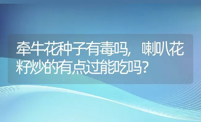 牵牛花种子有毒吗,喇叭花籽炒的有点过能吃吗？ | 养殖科普