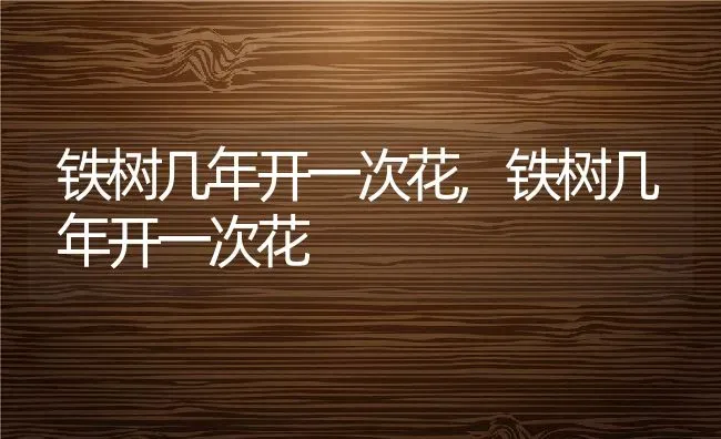 铁树几年开一次花,铁树几年开一次花 | 养殖科普