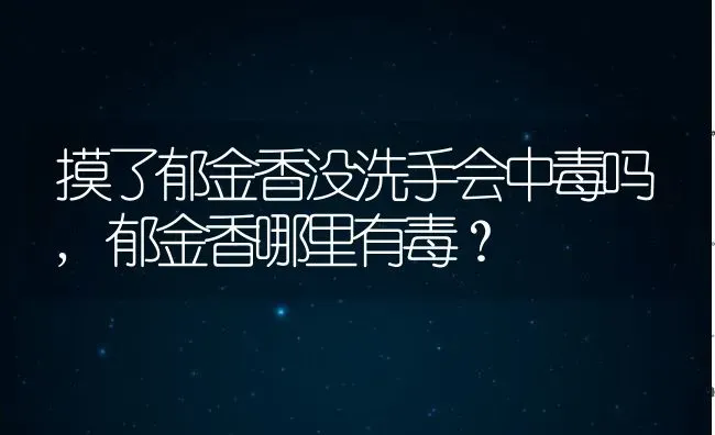 摸了郁金香没洗手会中毒吗,郁金香哪里有毒？ | 养殖学堂