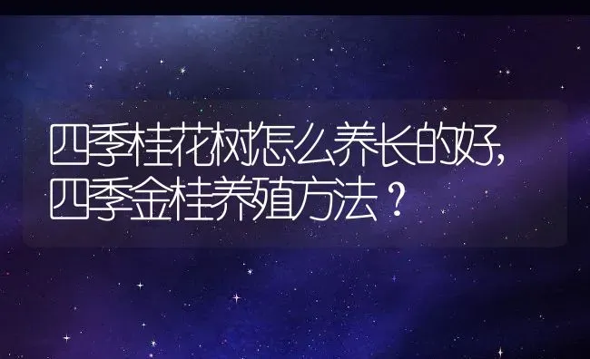 四季桂花树怎么养长的好,四季金桂养殖方法？ | 养殖科普