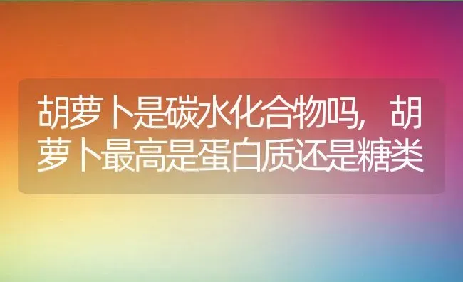 胡萝卜是碳水化合物吗,胡萝卜最高是蛋白质还是糖类 | 养殖科普