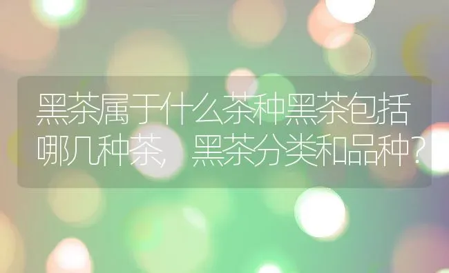 黑茶属于什么茶种黑茶包括哪几种茶,黑茶分类和品种？ | 养殖科普