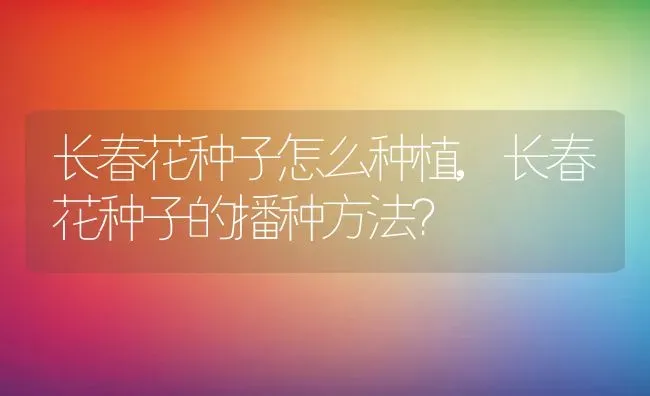 长春花种子怎么种植,长春花种子的播种方法？ | 养殖科普