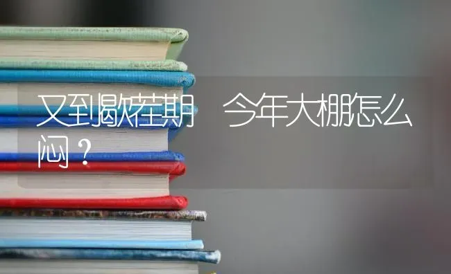 又到歇茬期 今年大棚怎么闷? | 养殖技术大全