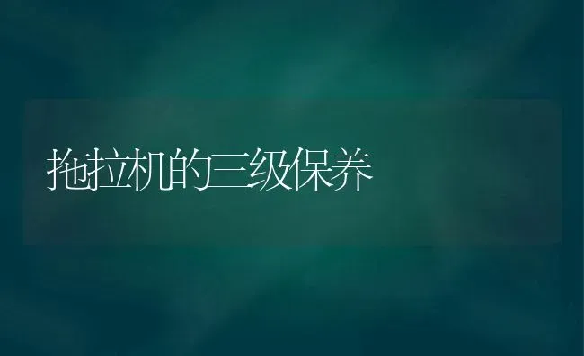 拖拉机的三级保养 | 养殖知识