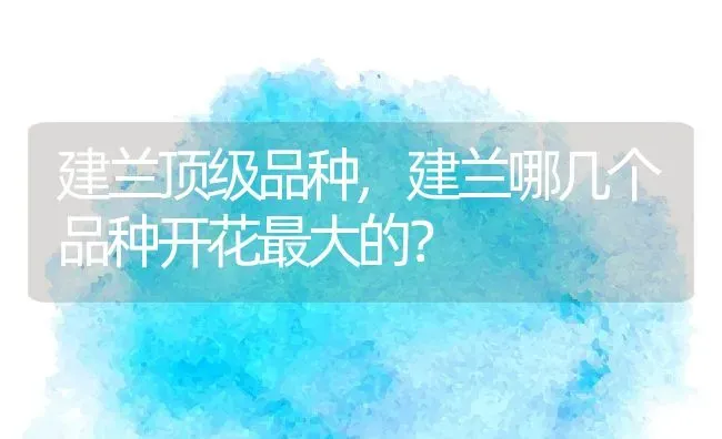 尿为什么是红色的,尿为什么是红色的怎么解决 | 养殖科普