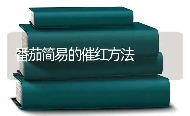 番茄简易的催红方法 | 养殖技术大全