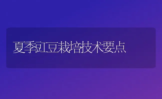 夏季豇豆栽培技术要点 | 养殖技术大全