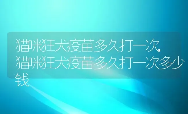 猫咪狂犬疫苗多久打一次,猫咪狂犬疫苗多久打一次多少钱 | 养殖科普