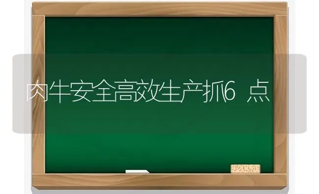 肉牛安全高效生产抓6点 | 养殖知识