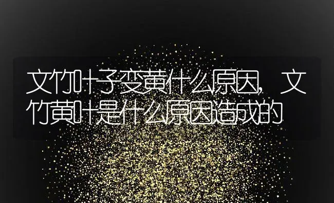 文竹叶子变黄什么原因,文竹黄叶是什么原因造成的 | 养殖学堂