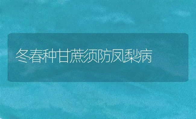 冬春种甘蔗须防凤梨病 | 养殖技术大全