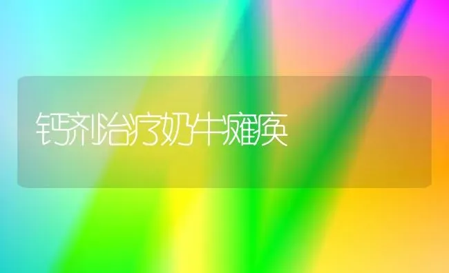 钙剂治疗奶牛瘫痪 | 养殖知识