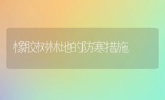 橡胶树林地的防寒措施 | 养殖知识