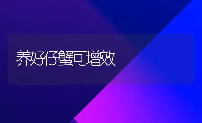 养好仔蟹可增效 | 养殖技术大全