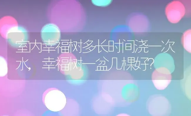 室内幸福树多长时间浇一次水,幸福树一盆几棵好？ | 养殖科普